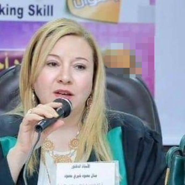 الدكتورة منال خيري تكتب..مصر السيسي وملف الاستثمار الخاص