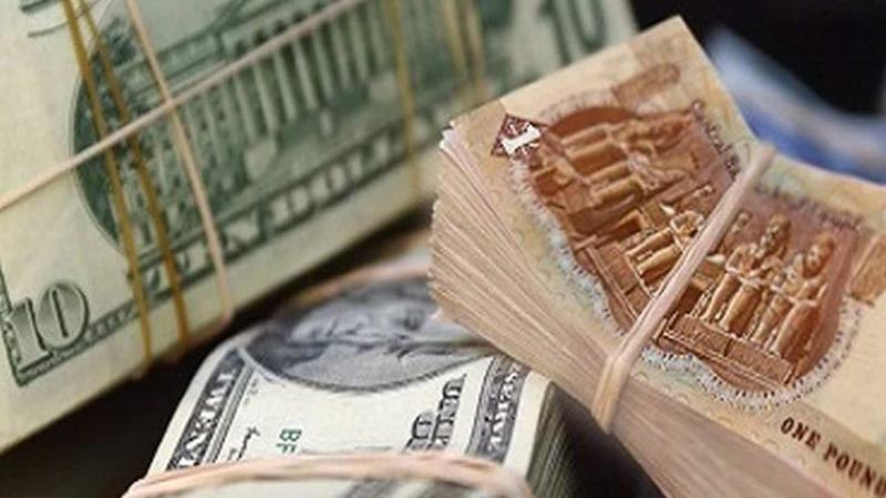 سعر الدولار مقابل الجنيه اليوم 13/11/2023