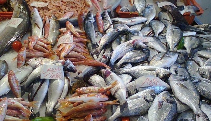 أسعار السمك اليوم في سوق العبور للجملة