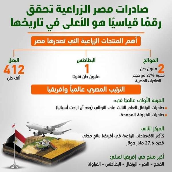 مصر تتربع علي عرش صادرات البرتقال بعد إزاحة أسبانيا