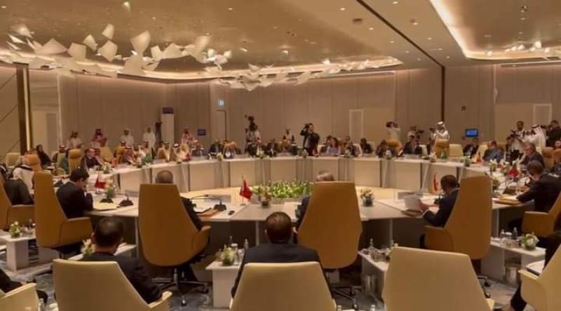 شكري يشارك في الاجتماع الوزاري التنسيقي مع عدد من الدول العربية والأوروبية لدعم القضية الفلسطينية