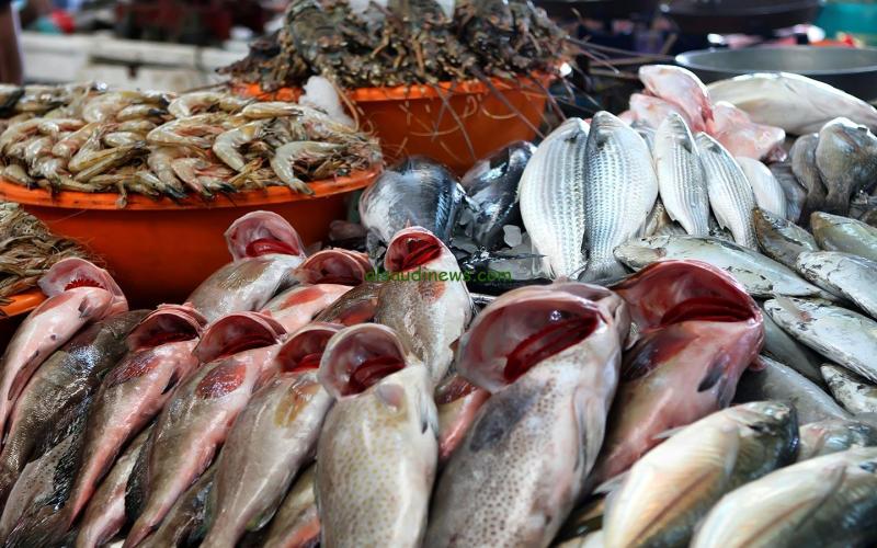 ارتفاع غالبية أسعار السمك اليوم الأربعاء 24/7/2024
