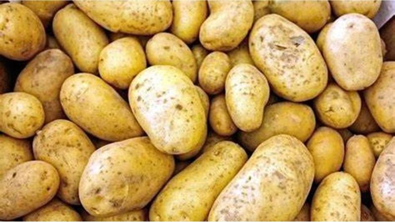 شعبة الخضروات، تطالب بمتابعة حجب ”البطاطس” بالسوق المحلي، وخلق توزان