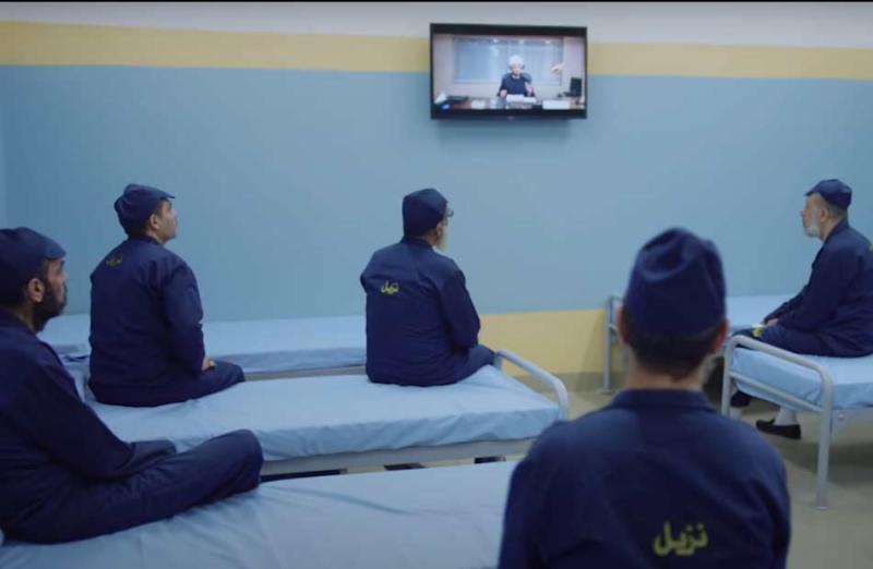 أين حمرة الخجل يا ولاد الإرهابية؟!.. شباب الصحفيين:مراكز الإصلاح والتأهيل تطبق أعلي معايير حقوق الإنسان