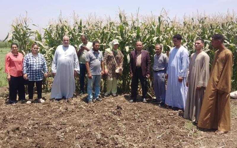 زراعة سوهاج تنفذ ندوة إرشادية لتحميل المحاصيل